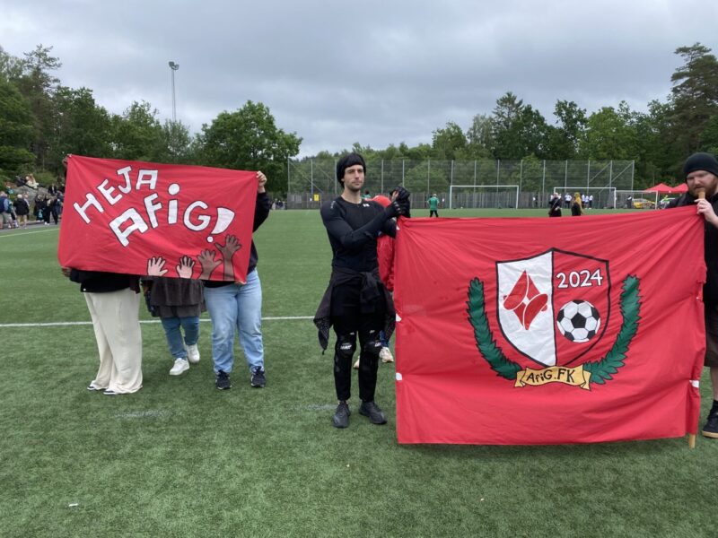 Folkhögskolans Cup